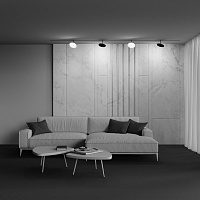 Maytoni Technical Plato Трековый светильник цвет: черный TR131-2-15W4K-B