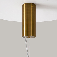 Maytoni Modern Adore Подвесной светильник цвет: латунь MOD297PL-L24BS3K1