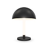 Maytoni Modern Ray Настольный светильник цвет: черный Z012TL-L8B3K