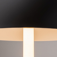 Maytoni Modern Ray Настольный светильник цвет: черный Z012TL-L8B3K