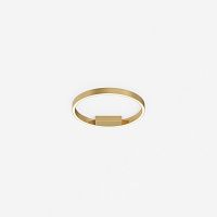 Maytoni Modern Rim Потолочный светильник цвет: латунь MOD058CL-L25BSK