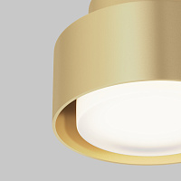 Maytoni Technical Space Потолочный светильник цвет: матовое золото C092CL-GX53-MG