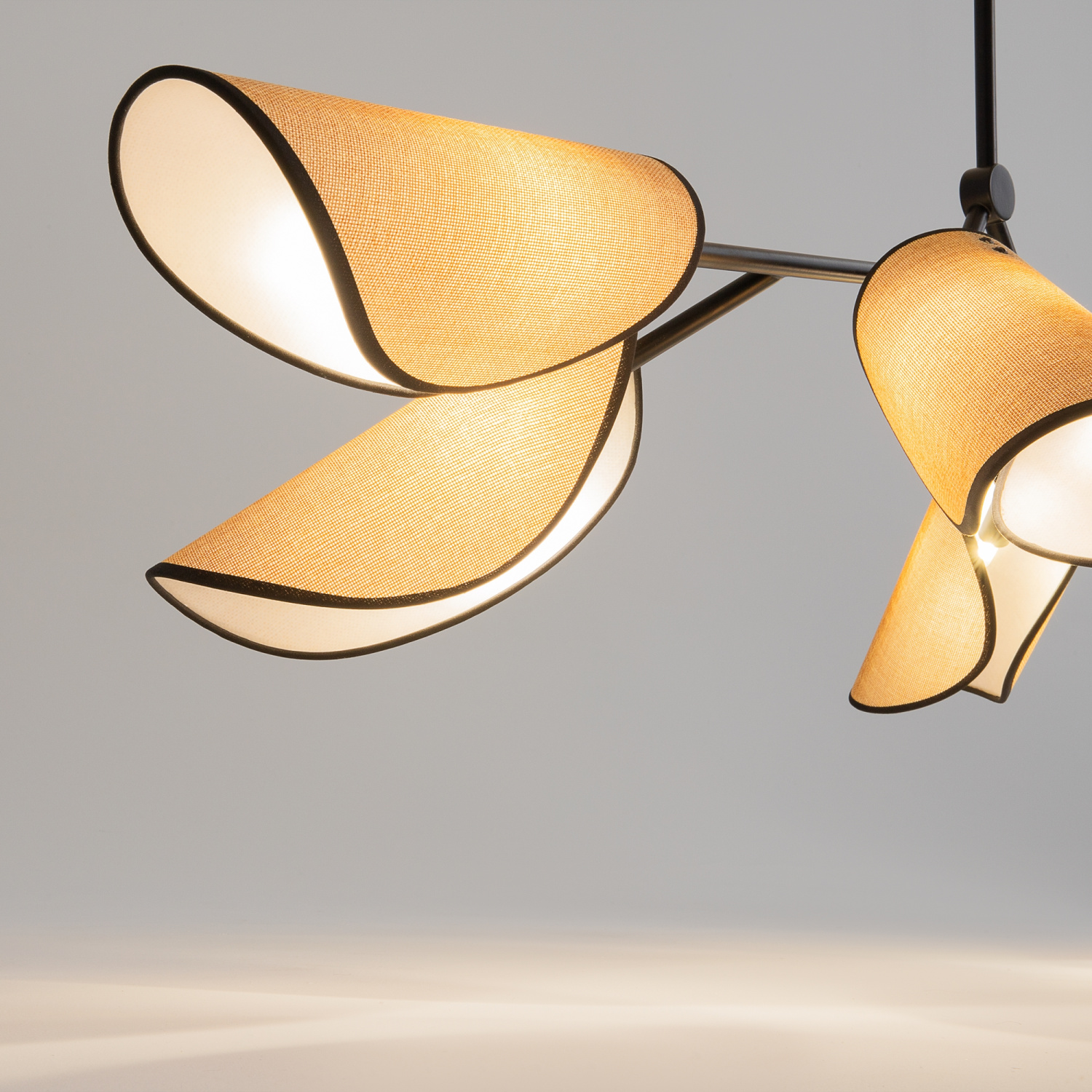 Maytoni Modern Organic Подвесной светильник цвет: черный MOD225PL-06B