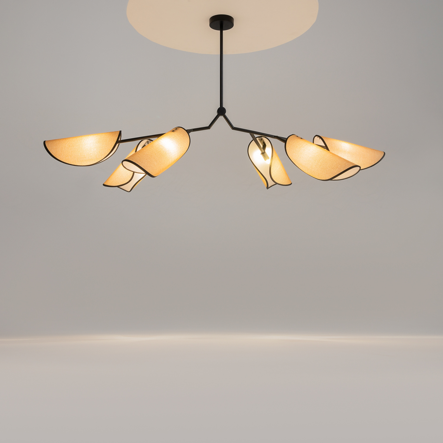 Maytoni Modern Organic Подвесной светильник цвет: черный MOD225PL-06B