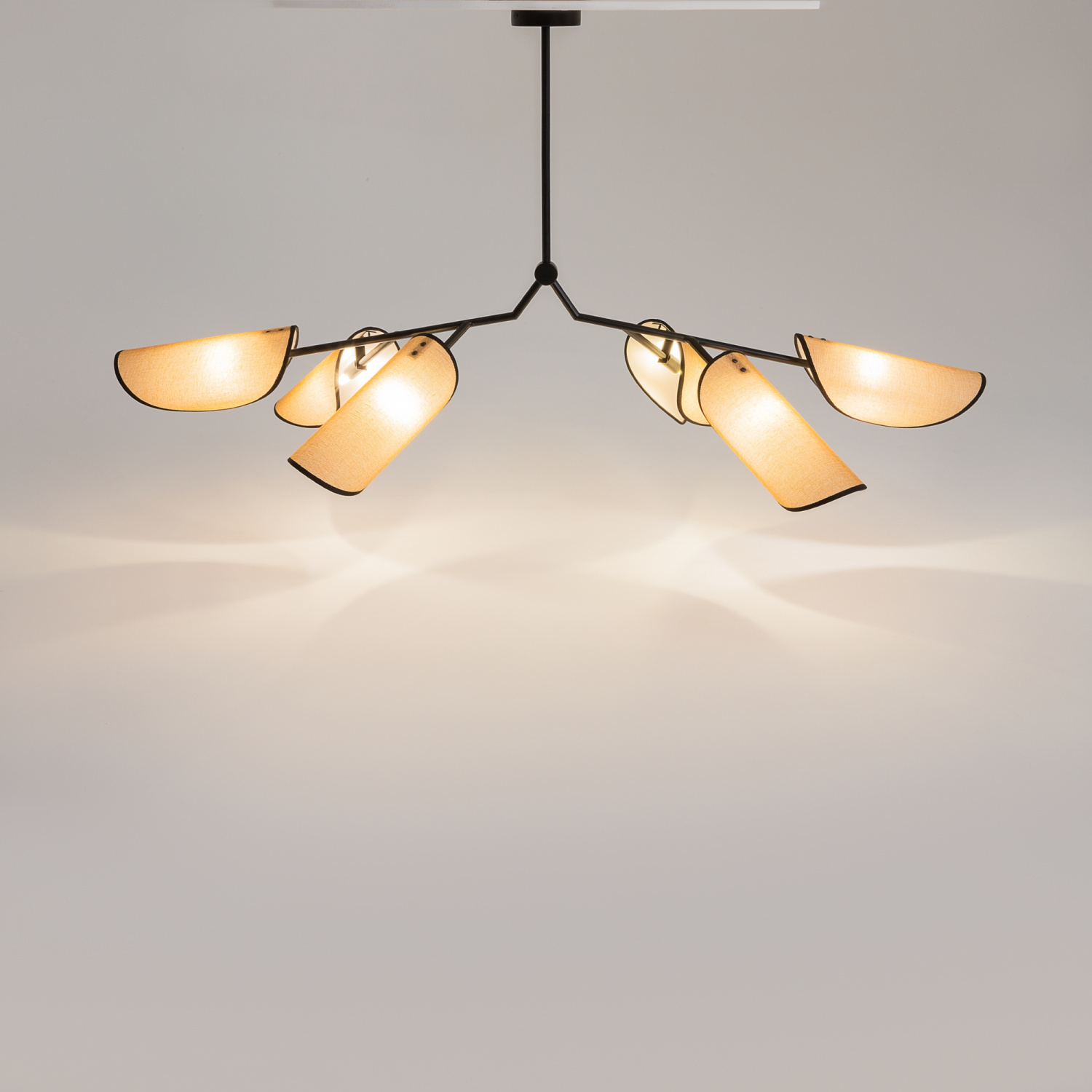 Maytoni Modern Organic Подвесной светильник цвет: черный MOD225PL-06B