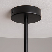 Maytoni Modern Organic Подвесной светильник цвет: черный MOD225PL-06B