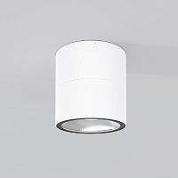 Maytoni Outdoor Spin Потолочный светильник цвет: белый O310CL-L7W3K