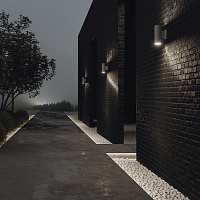 Maytoni Outdoor Bowery Настенный светильник (бра) цвет: серый O574WL-02GR