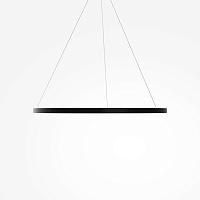 Maytoni Modern Rim Подвесной светильник цвет: черный MOD058PL-L54BK