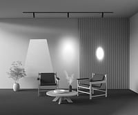 Maytoni Technical Gala Трековый светильник цвет: черный TR108-2-10W3K-B