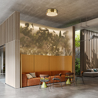 Maytoni Modern Artistico Потолочный светильник цвет: латунь MOD017CL-05BS