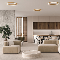 Maytoni Modern Rim Потолочный светильник цвет: латунь MOD058CL-L35BSK