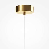 Maytoni Modern Biology Подвесной светильник цвет: латунь MOD367PL-L3BSK