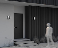 Maytoni Outdoor Remsa Настенный светильник (бра) цвет: черный O034WL-01B