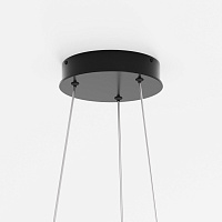 Maytoni Modern Rim Подвесной светильник цвет: черный MOD058PL-L22BK