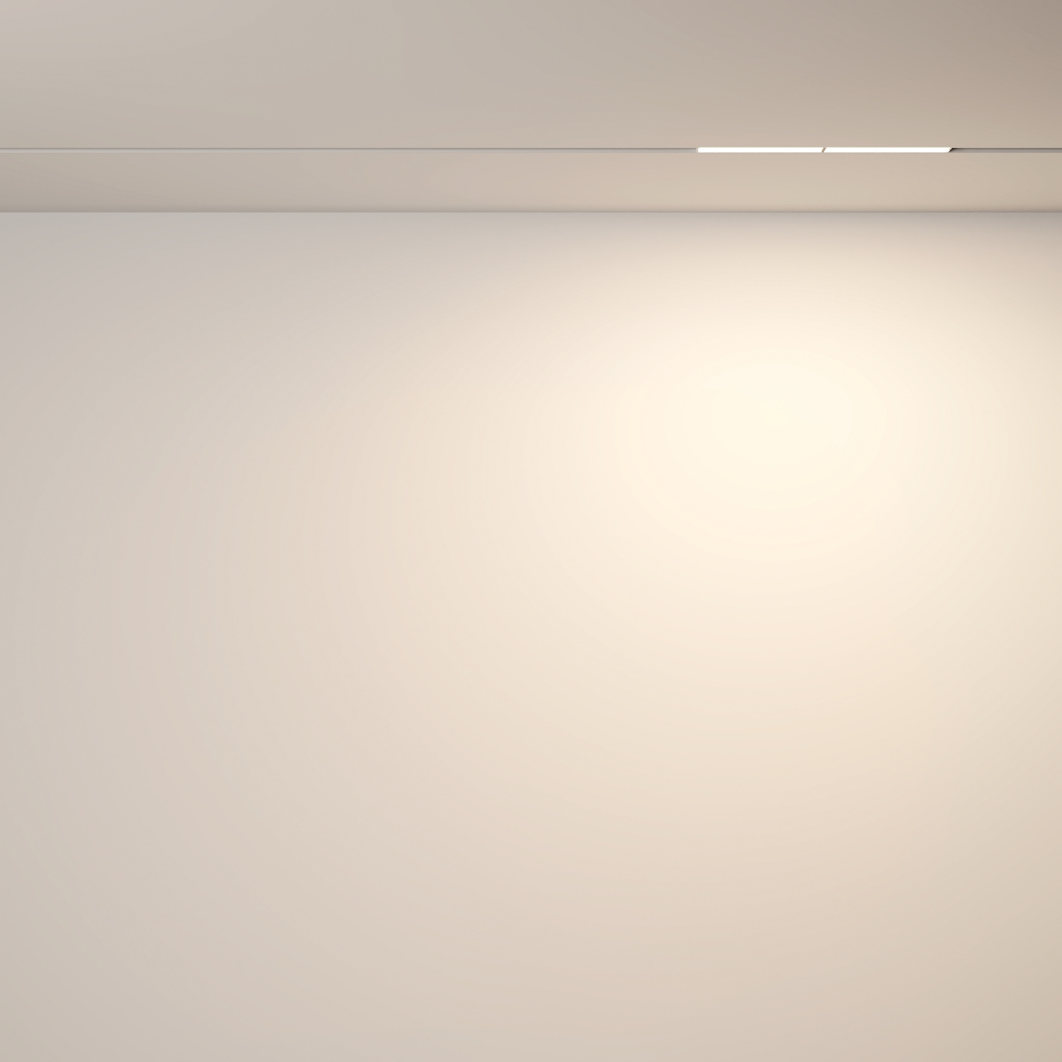 Maytoni Technical Parete Трековый светильник цвет: белый TR106-2-12W3K-W