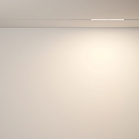 Maytoni Technical Parete Трековый светильник цвет: белый TR106-2-12W3K-W