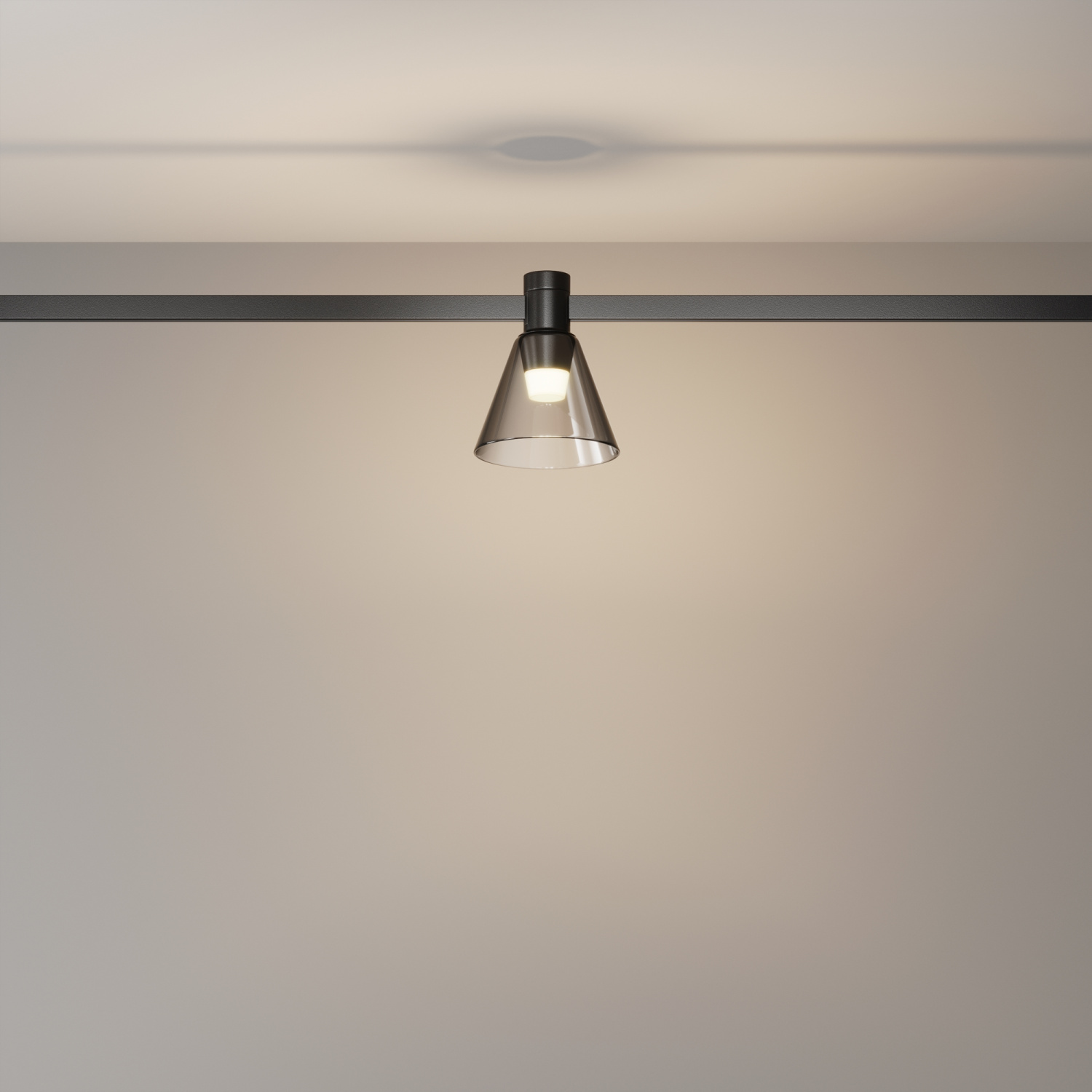 Maytoni Technical Bianca Трековый светильник цвет: черный TR147-1-3W3K-B