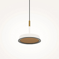 Maytoni Modern El Подвесной светильник цвет: черный MOD041PL-L15WG3K