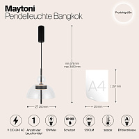 Maytoni Modern Bangkok Подвесной светильник цвет: черный MOD185PL-L6B3K1