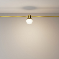 Maytoni Technical Luna Трековый светильник цвет: латунь TR149-1-5W3K-BS