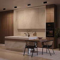 Maytoni Technical Basis Rot Потолочный светильник цвет: черный C133CL-12W3K-B