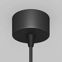 Maytoni Подвесной светильник. Цвет арматуры черный. P064PL-01B-1