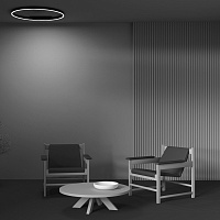 Maytoni Modern Rim Потолочный светильник цвет: черный MOD058CL-L50BK