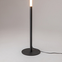 Maytoni Modern Ray Напольный светильник (торшер) цвет: черный Z012FL-L18B3K