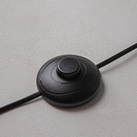 Maytoni Modern Ray Напольный светильник (торшер) цвет: черный Z012FL-L18B3K