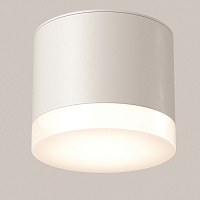 Maytoni Technical Pauline Потолочный светильник цвет: белый C087CL-GX53-W