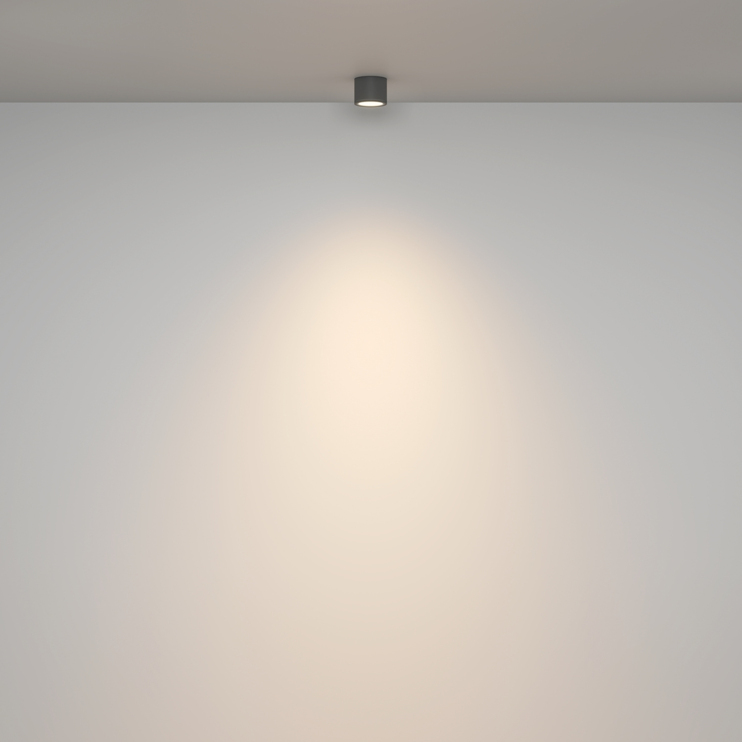 Maytoni Technical Rendo Потолочный светильник цвет: серый C095CL-GX53-GR