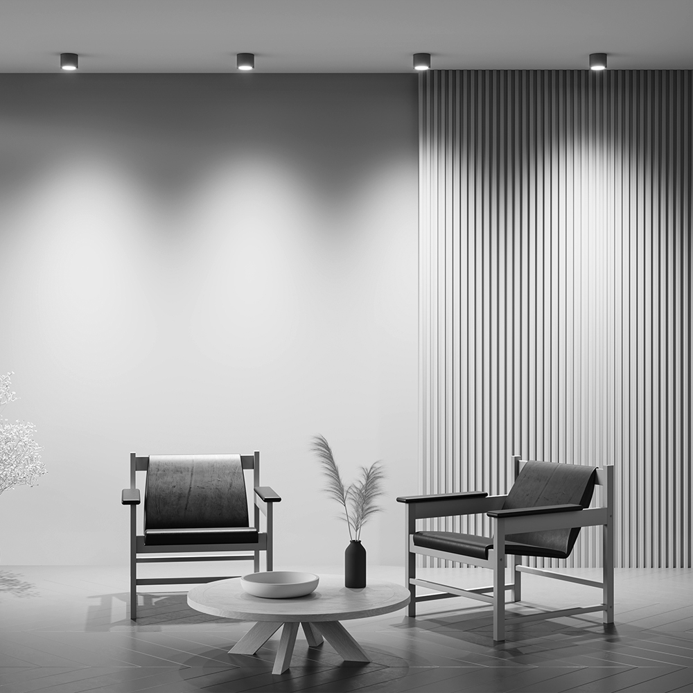 Maytoni Technical Rendo Потолочный светильник цвет: серый C095CL-GX53-GR