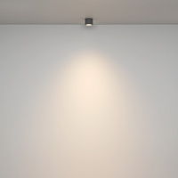 Maytoni Technical Rendo Потолочный светильник цвет: серый C095CL-GX53-GR