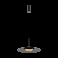 Maytoni Modern El Подвесной светильник цвет: черный MOD041PL-L15B3K1