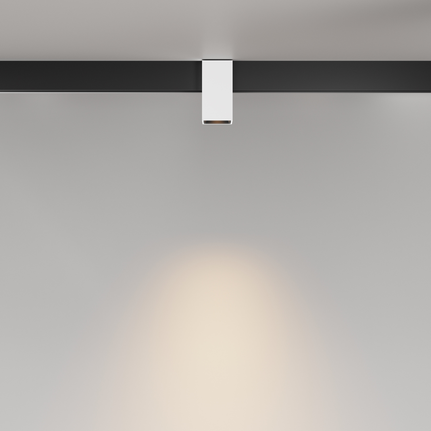 Maytoni Technical Alfa Трековый светильник цвет: черный TR121-2-7W3K-W