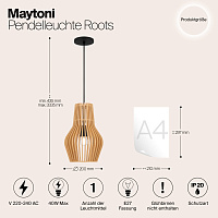 Maytoni Modern Roots Подвесной светильник цвет: черный MOD191PL-01W