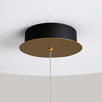 Maytoni Modern Pharao Подвесной светильник цвет: черный и латунь MOD361PL-L22BS3K