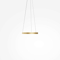 Maytoni Modern Rim Подвесной светильник цвет: латунь MOD058PL-L22BSK