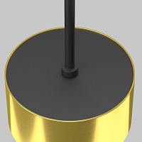 Maytoni Technical Glare Подвесной светильник цвет: латунь P102PL-12W4K-BS