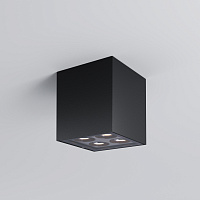 Maytoni Outdoor Ares Потолочный светильник цвет: графит O309CL-L8GF3K