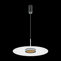 Maytoni Modern El Подвесной светильник цвет: черный MOD041PL-L15W3K1