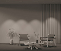 Maytoni Technical Points Трековый светильник цвет: черный TR031-2-12W3K-B