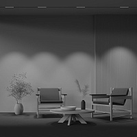 Maytoni Technical Points Трековый светильник цвет: черный TR031-2-12W3K-B