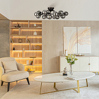 Maytoni Modern Dallas Потолочный светильник цвет: черный MOD545CL-20B