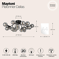 Maytoni Modern Dallas Потолочный светильник цвет: черный MOD545CL-20B