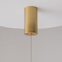 Maytoni Technical Ray Подвесной светильник цвет: золото P022PL-L10MG3K