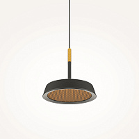 Maytoni Modern El Подвесной светильник цвет: черный MOD041PL-L15GB3K