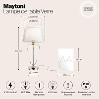 Maytoni Classic Verre Настольный светильник цвет: латунь Z005TL-01BS