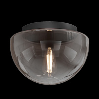 Maytoni Modern Glassy Потолочный светильник цвет: черный MOD270CL-01B